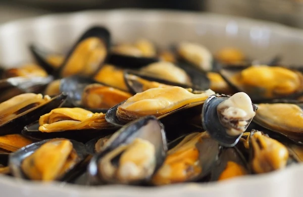 Molluscs Market in the EU Bounced Back to $4.6B
